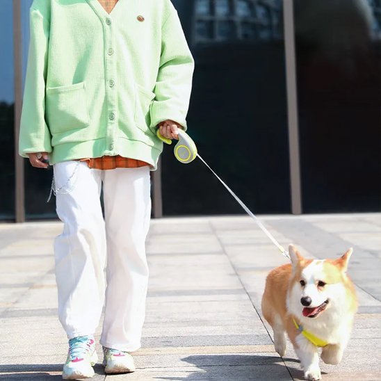 Laisse enrouleur | Confort Liberté 8m