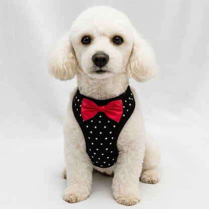 Harnais petit chien | Comfort Plus