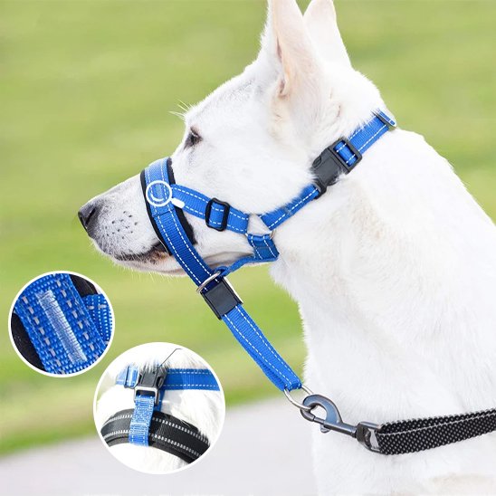 Muselière Confort pour Chien | PawSafe