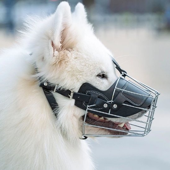 Muselière pour chien | ComfortBreath