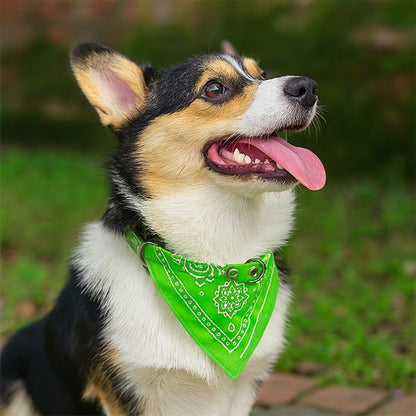 Bandana chien | Fashionista Paisley