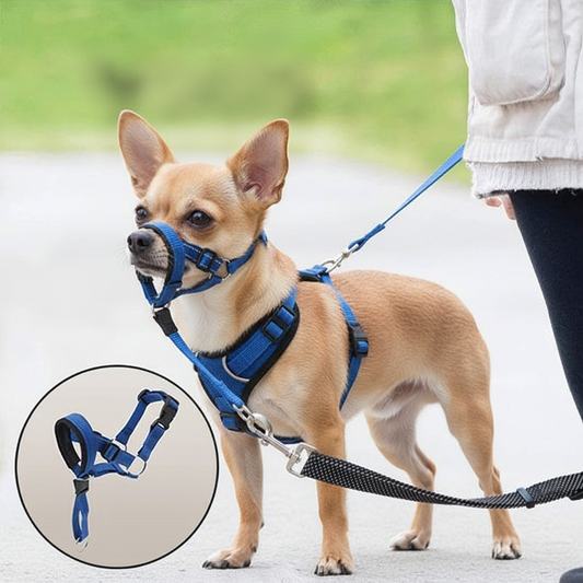 Muselière Confort pour Chien | PawSafe