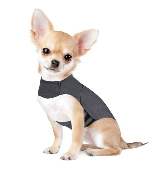 Pull pour chien - Gilet anti - anxiété - Le Chihuahua Voyageur