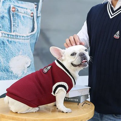 Pull pour Chien