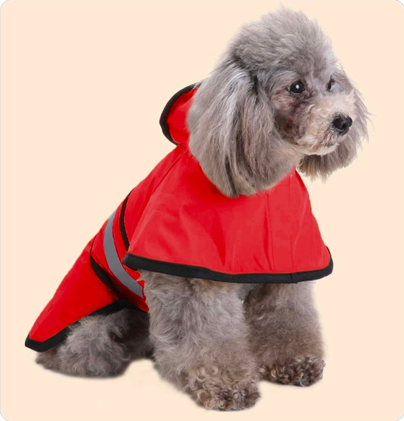Manteau pour chien | Imperméable & Thermique