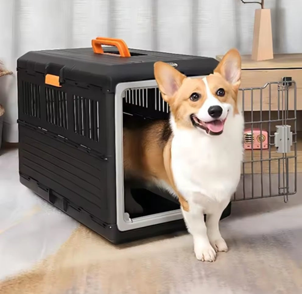 Cage de transport pour chien - Robustesse pratico-pliante