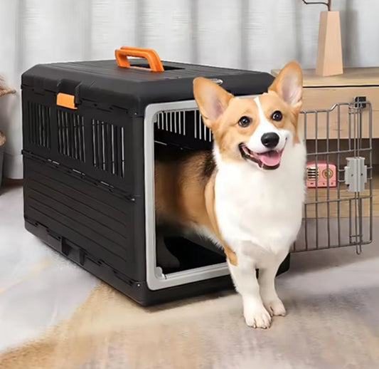 Cage de transport pour chien - Robustesse pratico-pliante
