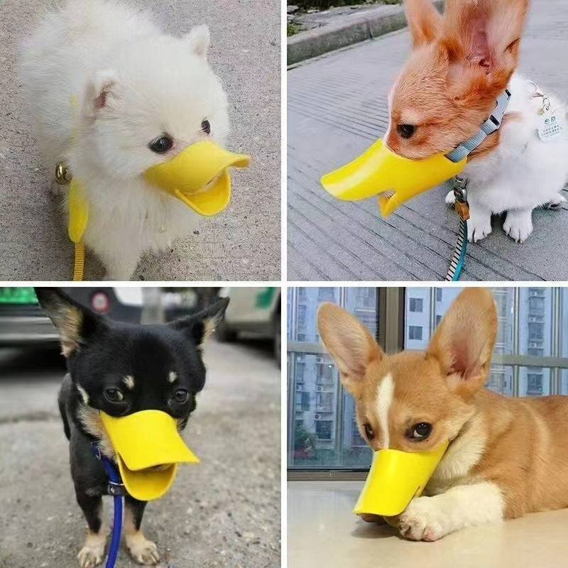 Muselière chien | Canard Silicone