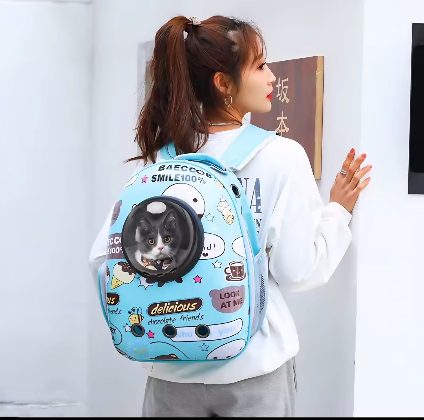 Sac a dos pour chien- Capsule Vibrante Aixiangru