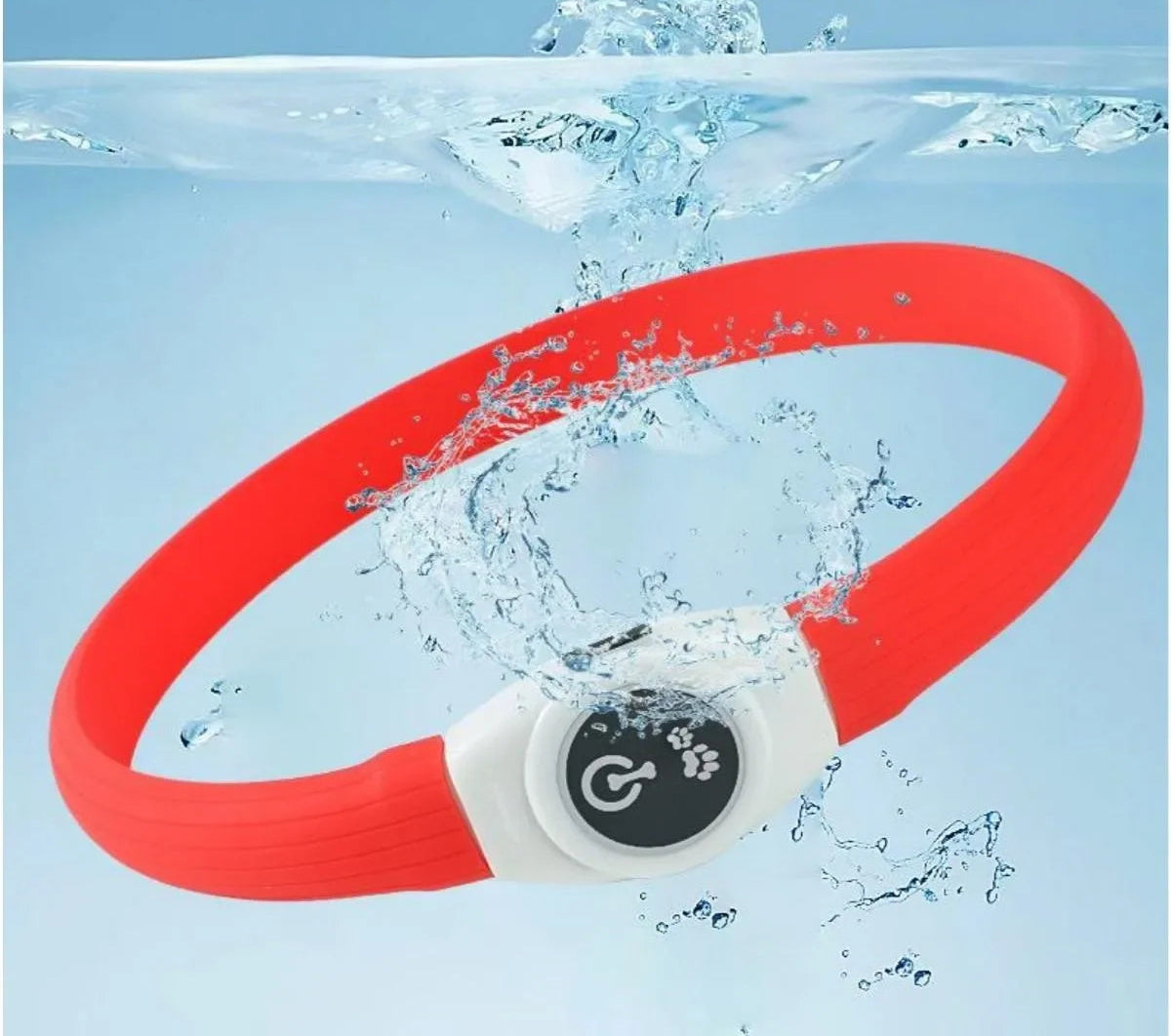 Collier lumineux chien | SafetyNight