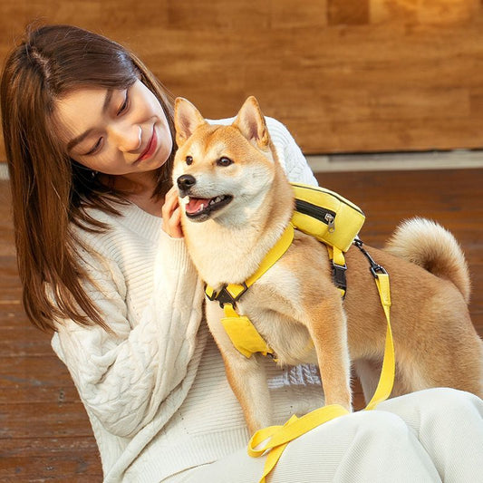 Sac a dos chien - Gilet sac à dos - Le Chihuahua Voyageur