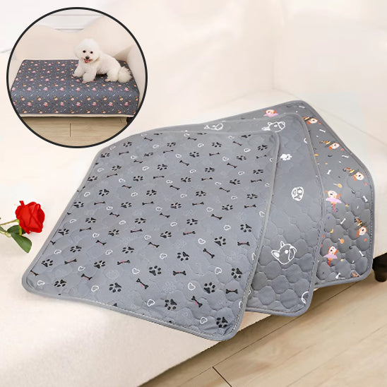 tapis-pour-chien-motif