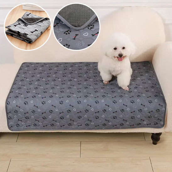 tapis-pour-chien-naissance