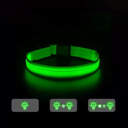 Collier Chien - LEDCollarDog™ - Vert
